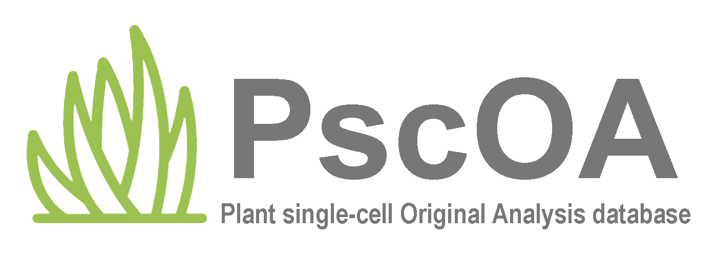 PscOA Logo