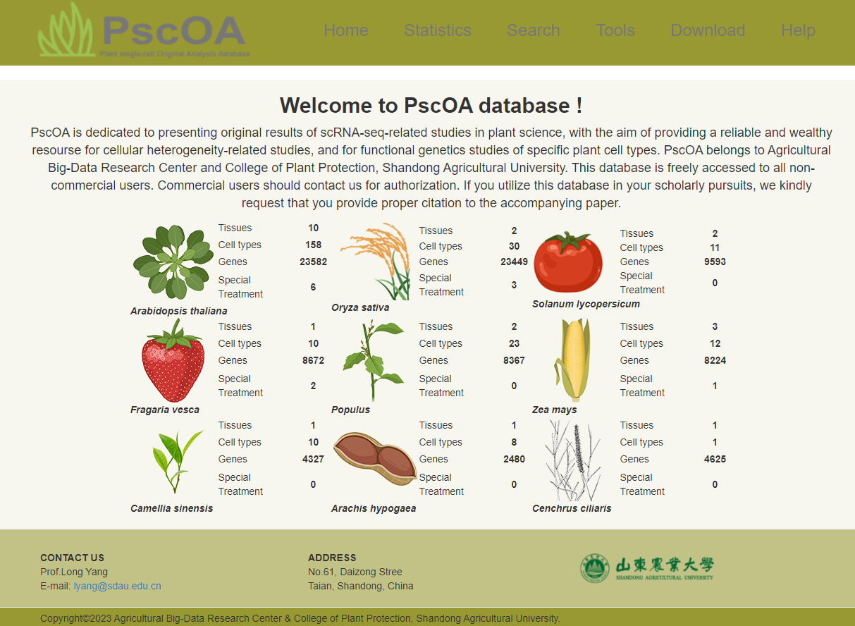 Home page screenshot