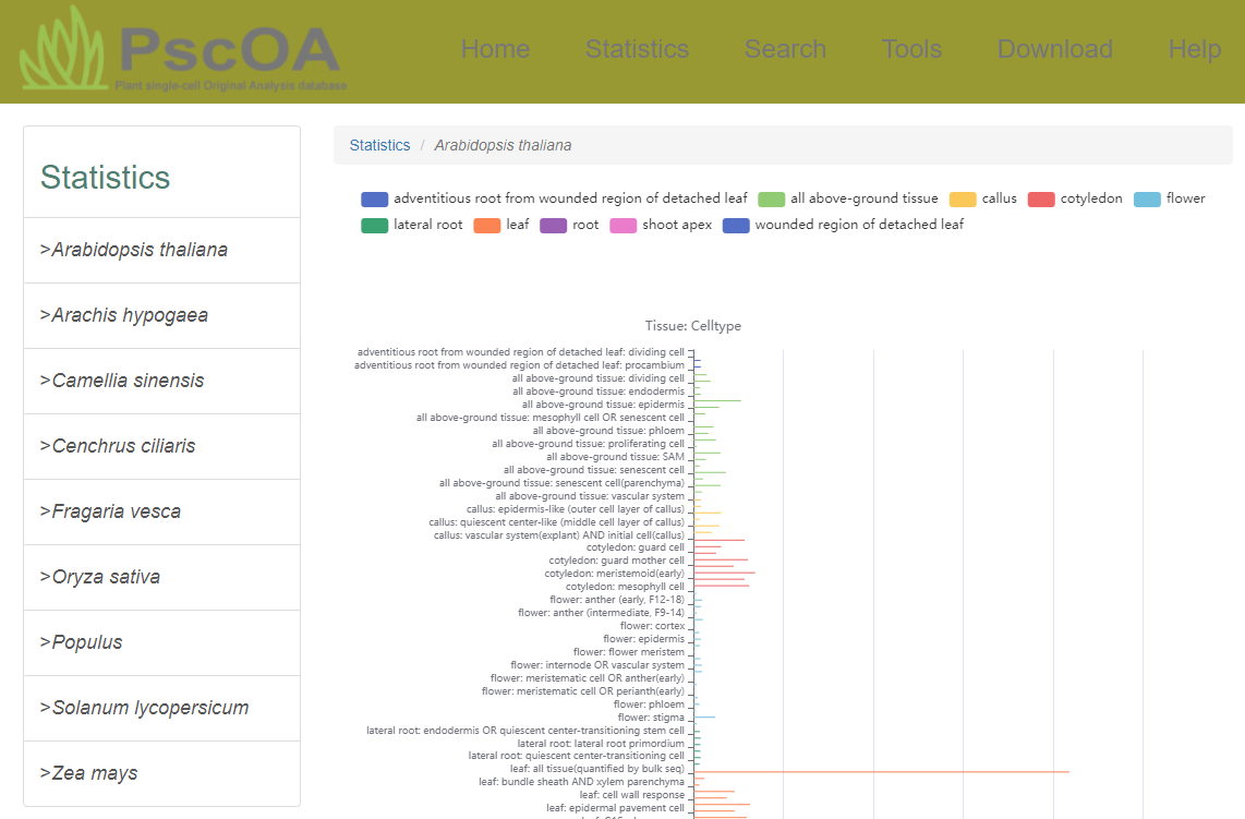 Statistics page screenshot