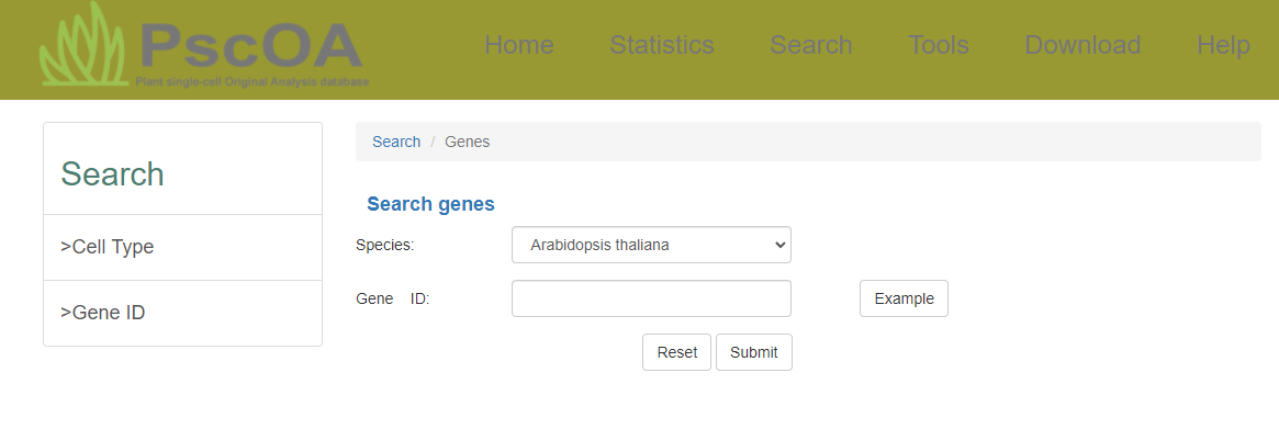 Search page screenshot 2